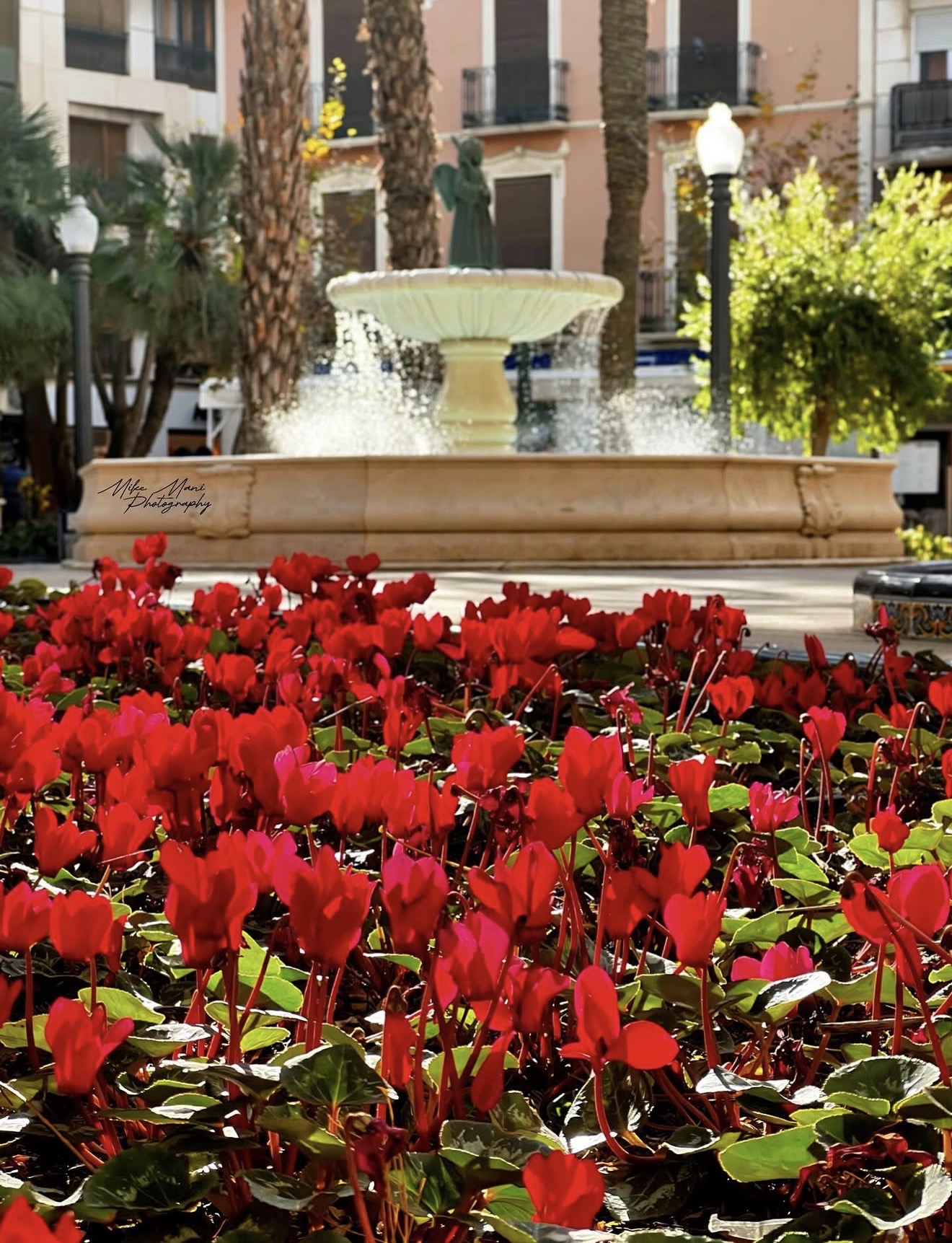 Glorieta de elche