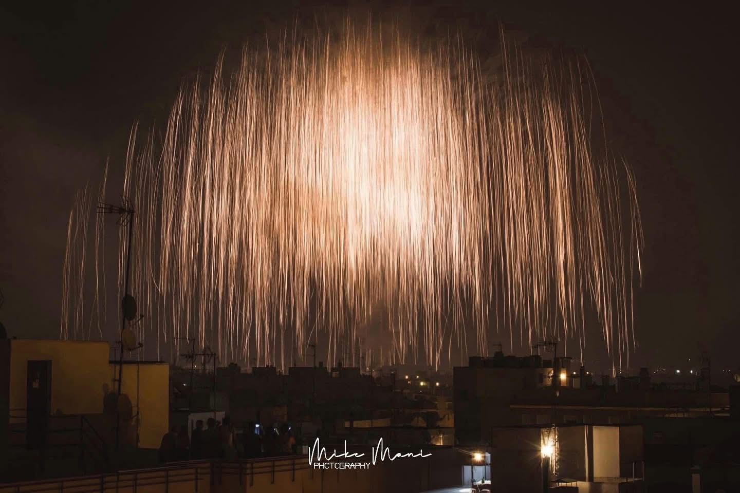 Palmera de la virgen